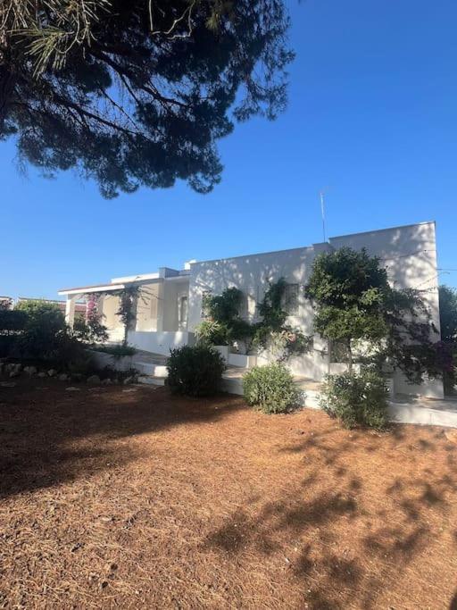 Villa Bouganville 2 Ostuni Dış mekan fotoğraf