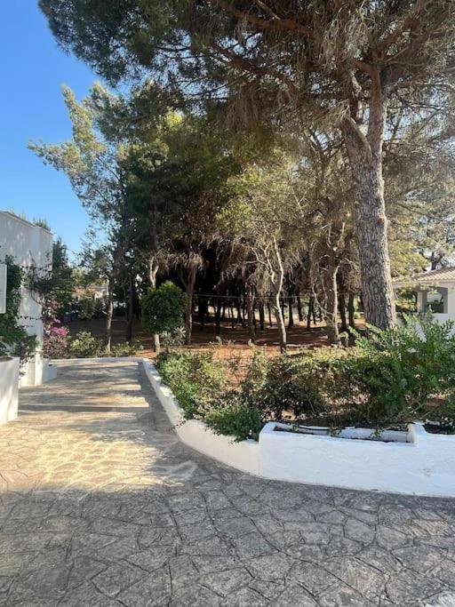 Villa Bouganville 2 Ostuni Dış mekan fotoğraf